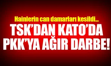 TSK’dan PKK’ya Kato Dağı’nda büyük darbe!