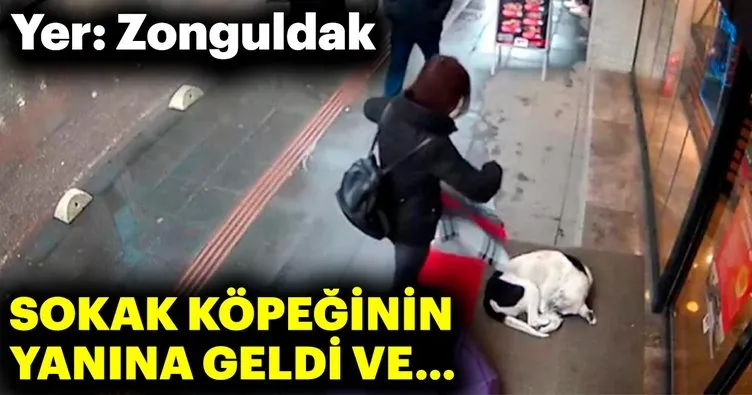 Şalıyla sokak köpeğinin üzerini örttü