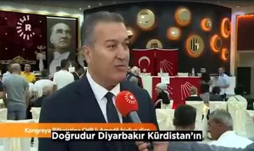 CHP’li PM üyesine, Kürt gencinden tokat gibi cevap!