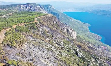 Yangın şeridi alevlerin önünü kesti