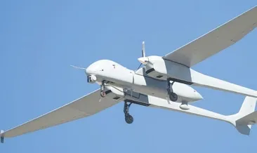 Hollanda kısıtlamayı kaldırdı