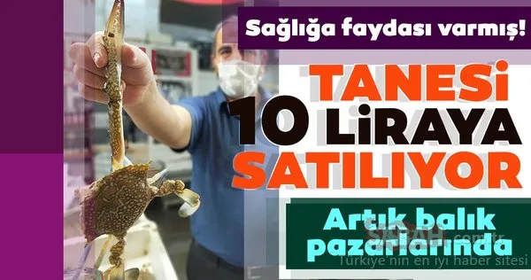 Yengeç, tanesi 10 liraya kapış kapış satılıyor