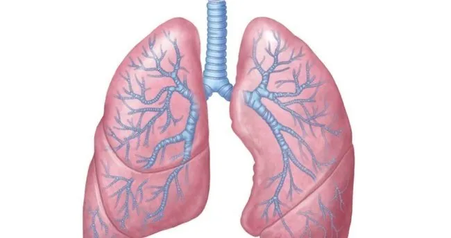 Akciğer kanserinin 10 belirtisi