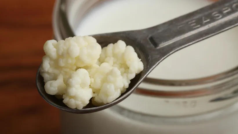 Sindirim sistemini düzenliyor!