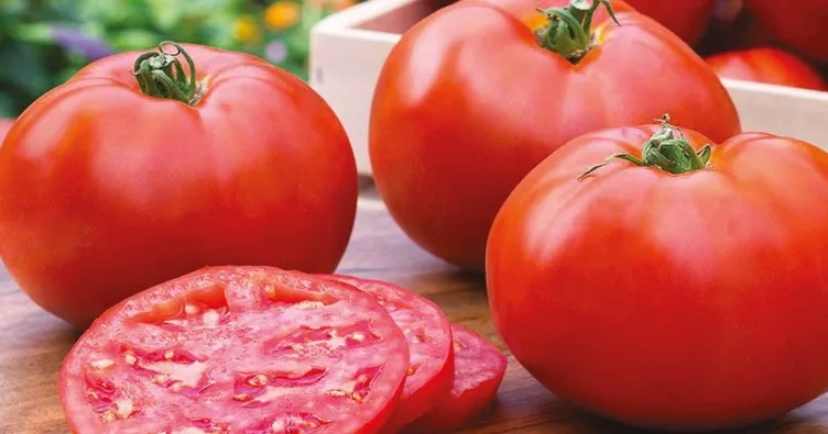 Domates kanserden koruyor