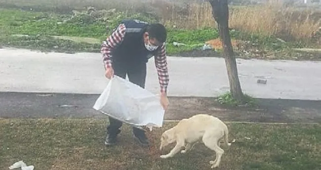 Can dostlarına mama desteği