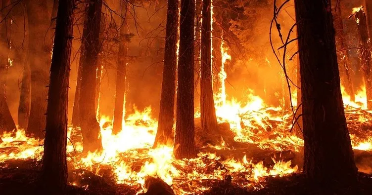 Meteoroloji’den orman yangını uyarısı!