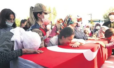 Mis kokulum ne olursun kalk Mis kokulum ne olursun kalk