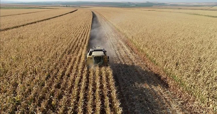 Tarım ÜFE mayısta azaldı