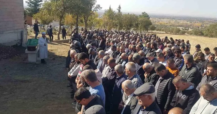 Denizli’de arı sokması can aldı