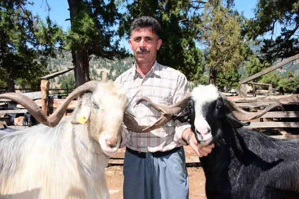 prof-dr-ozturk-keciler-ormanlarin-dogal-itfaiyecileri-1789570597530.jpg