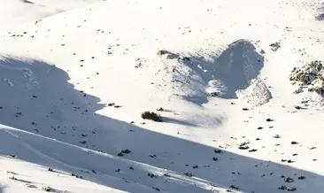 Kayağın en renkli adresi Makedonya