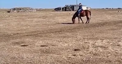 Rahvan atlar, devir değişse de baş köşeyi kaptırmadı #ardahan