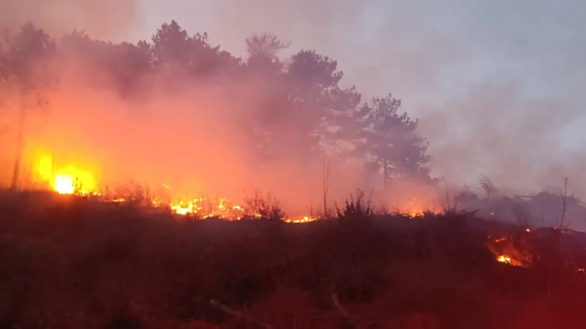 Hatay’da çıkan orman yangını kontrol altına alındı Hatay’da çıkan orman yangını kontrol altına alındı