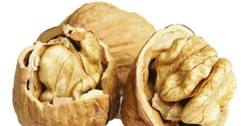 ruyada ceviz gormek ne anlama gelir ruyada ceviz gormek toplamak ve yemek ile ilgili ruya tabirleri ruya tabirleri haberleri