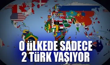 Hangi ülkede kaç Türk yaşıyor