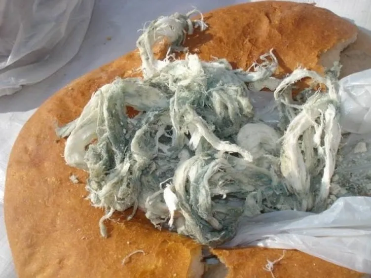 Gıda, Tarım ve Hayvancılık Bakanlığı'nın açıkladığı zehir saçan hileli ürünler listesi