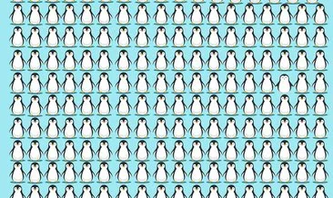 Yalnızca IQ’su yüksek olanlar bu testi geçebiliyor! Farklı pengueni bulan kişi sayısı yok denecek kadar az!