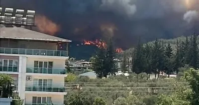 Orman yangınında zarar gören alan 500 hektara çıktı #hatay