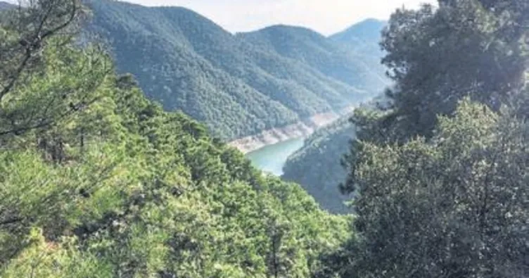 Terapi gibi yürüyüş yolu