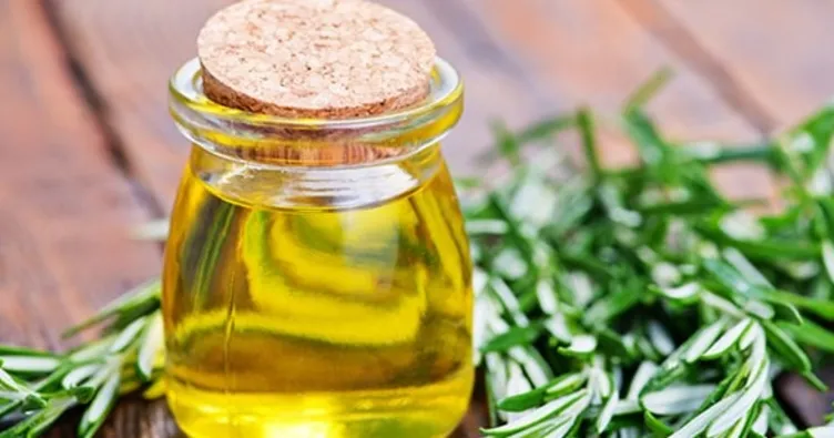 Biberiye yağının faydaları nelerdir?