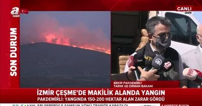 Son dakika: Bakan Pakdemirli’den İzmir’deki yangın ile ilgili flaş açıklamalar! Yangın kasıtlı mı çıkarıldı? | Video