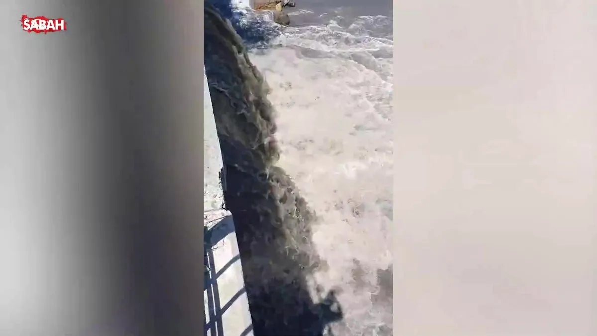 Kentsel atık suları arıtmadan deşarj eden İSKİ'ye 3,3 milyon TL ceza kesildi | Video