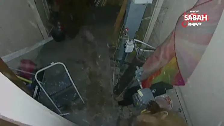 ABD’de garaja giren 2 ayı kavga etti | Video