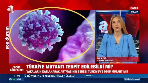 Türkiye'de mutant virüs var mı? Vakaların katlanarak artmasının sebebi Türkiye'ye özgü mutant mı?