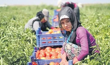 Tarım kadın eliyle güçleniyor