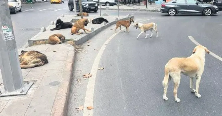 ‘Hapis ve ağır para cezası’ ile çözüm