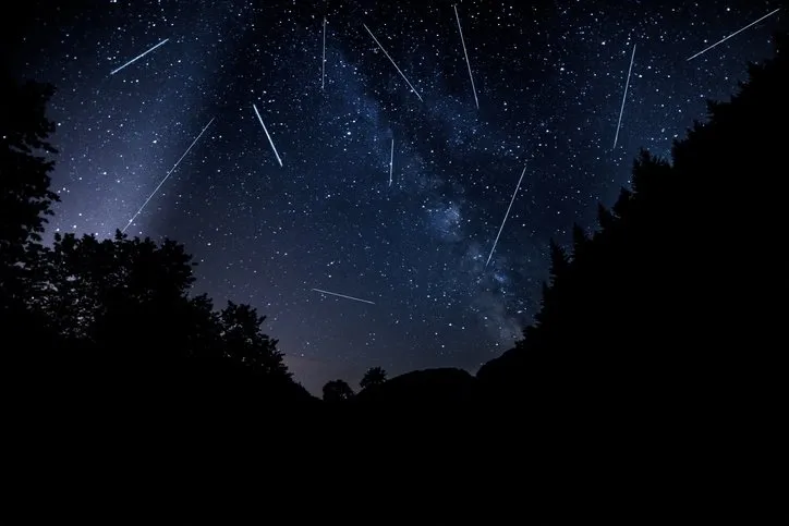 Leonid Aslan Meteor Yağmuru ile bu gece gökyüzünde görsel şölen... Leonid meteor yağmuru ne zaman, saat kaçta, Türkiye’den izlenebilecek mi?