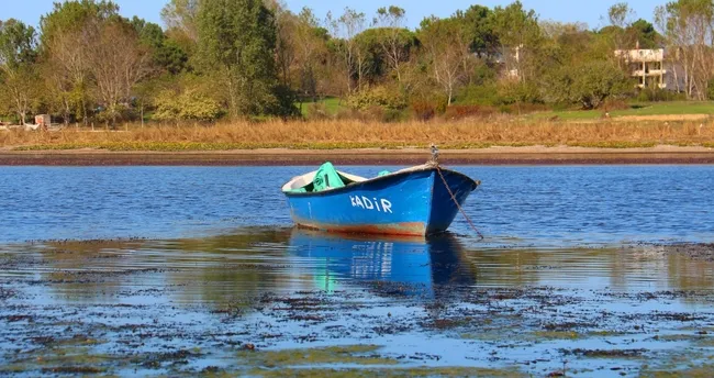 son dakika haberi barajlarda ne kadar su var iste son durum son dakika yasam haberleri son dakika haberi barajlarda ne kadar su var iste son durum son dakika yasam haberleri