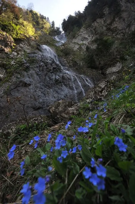 Karadeniz ve yaylalarından büyüleyen görüntüler