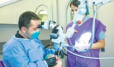 Her bir dişiniz bir organı temsil eder