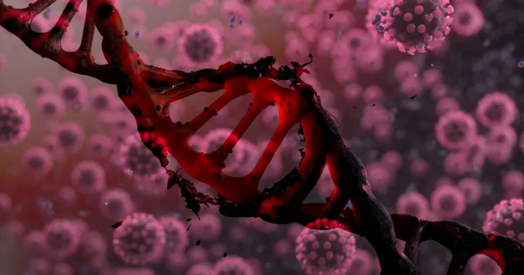 Dünya’da 3’üncü kişi HIV virüsünü yendi