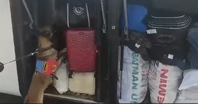 Şanlıurfa’da yolcu otobüsünde uyuşturucu yakalandı
