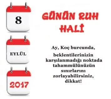 zeynep turan