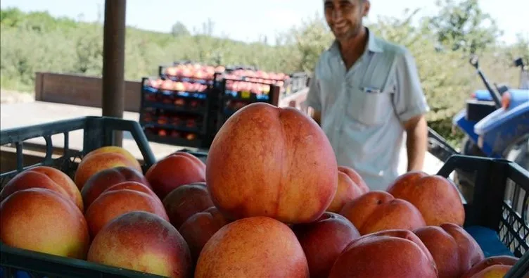 Rusya’ya meyve sebze ihracatında şeftali ilk sırada