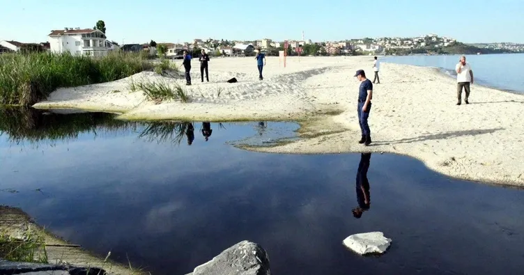 Çevreciler katliama sessiz kaldı
