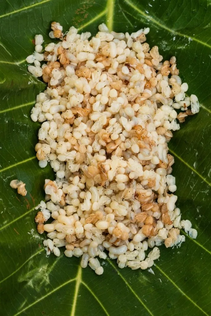 Karinca Yumurtasi Yagi Eksi