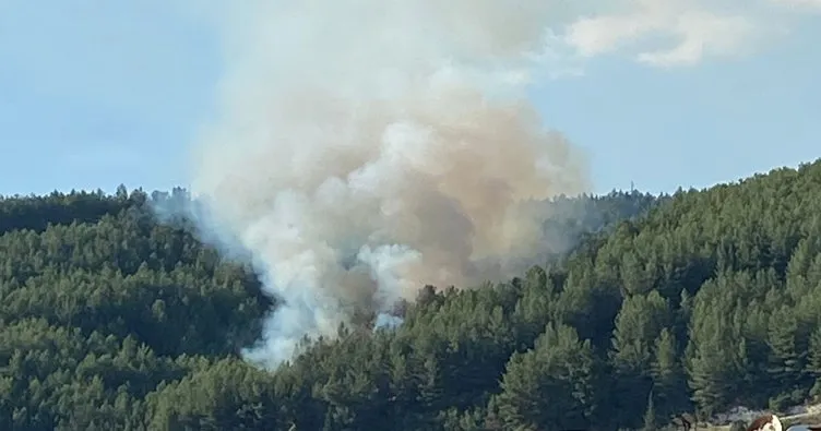 Muğla’daki orman yangını kontrol altına alındı
