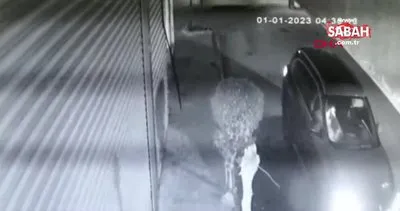 Pendik’te marketi soyan hırsızın yakalandığı anlar güvenlik kamerasında | Video
