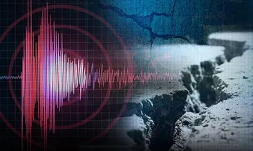 Hayvanlar ve fiber optik kablolarla deprem uyarısı