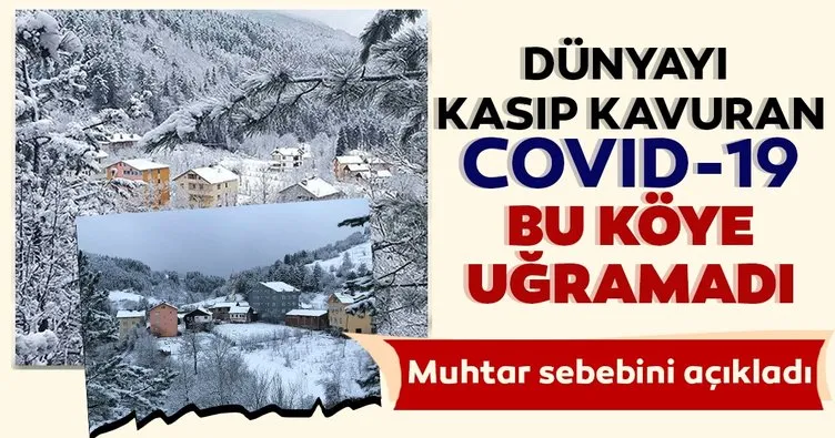 Bu köylerde hiç koronavirüs vakası görülmedi!