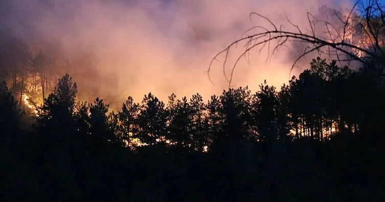 Karabük’deki orman yangına karadan müdahale ediliyor