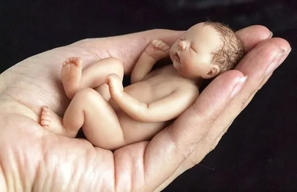 Yeni Doğmuş Bebek Heykelleri Yapan Sanatçının Dünya Tatlısı Minnacık Heykelleri