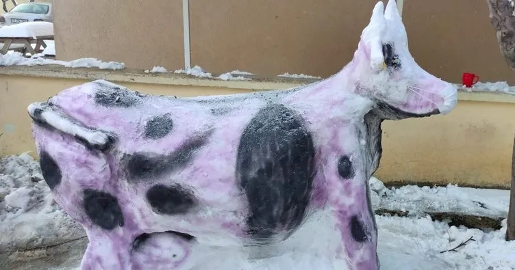Veteriner hekimler kardan inek yaptı