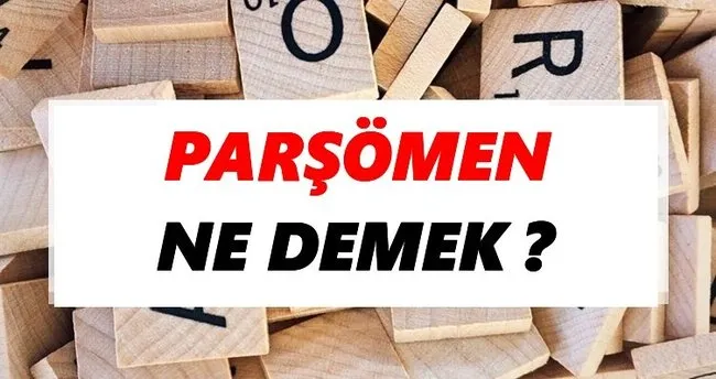 Parşömen Ne Demek? TDK’ya Göre Parşömen Sözlük Anlamı Nedir?