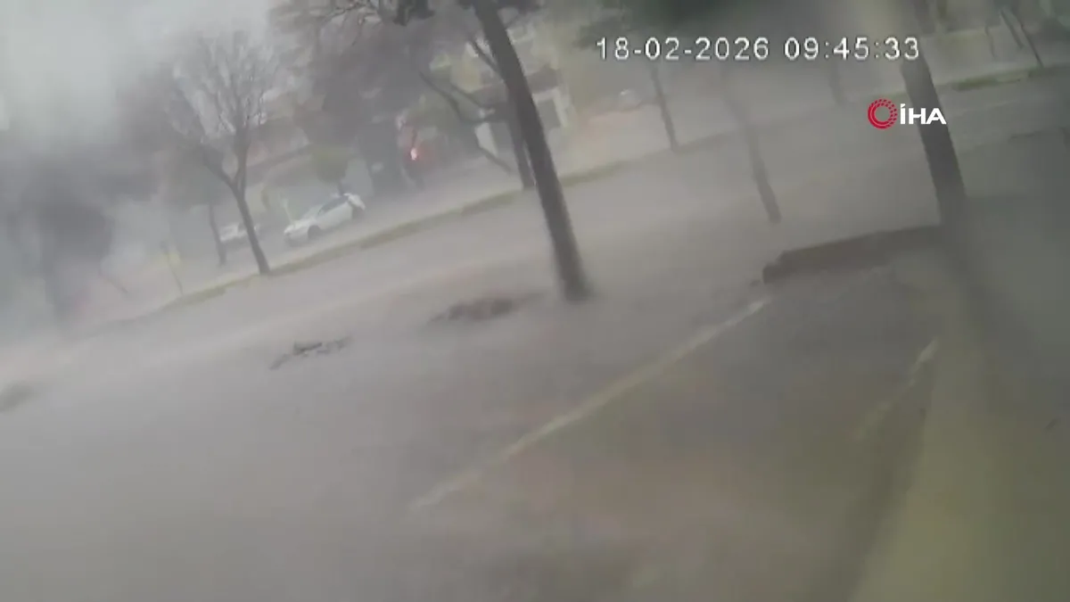 Adana’da fırtına dev ağaçları kökünden söktü: O anlar kamerada | Video videosunu izle Adana’da fırtına dev ağaçları kökünden söktü: O anlar kamerada | Video videosunu izle